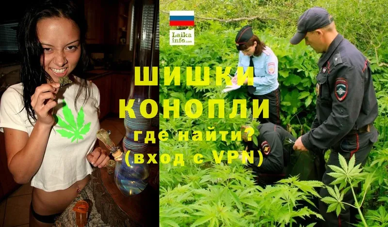 наркошоп  сайты даркнета как зайти  ссылка на мегу зеркало  Конопля THC 21%  Правдинск 